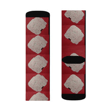 Load image into Gallery viewer, Widespread Panic Buying - Sublimation Socks
